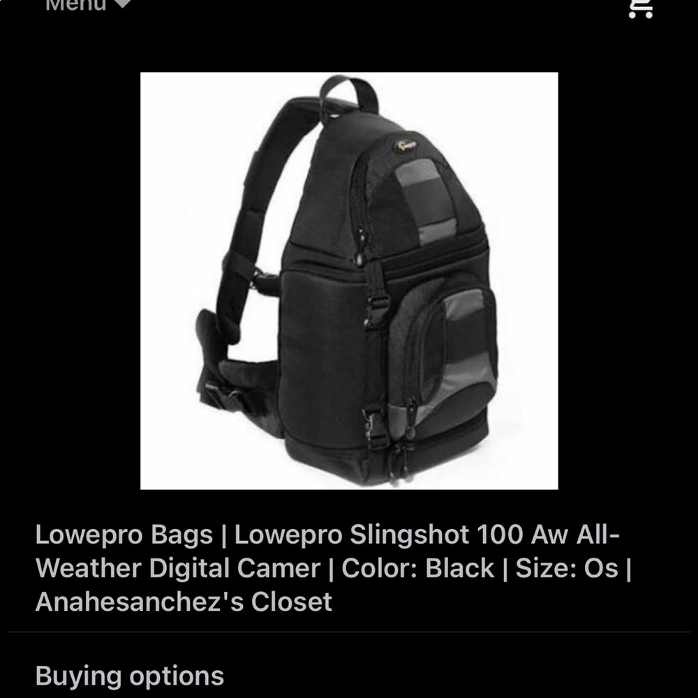 Lowepro camera bag